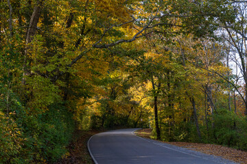 Obraz premium road in autumn