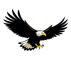 Obraz premium a bald eagle in flight vector art illustration isolated white background