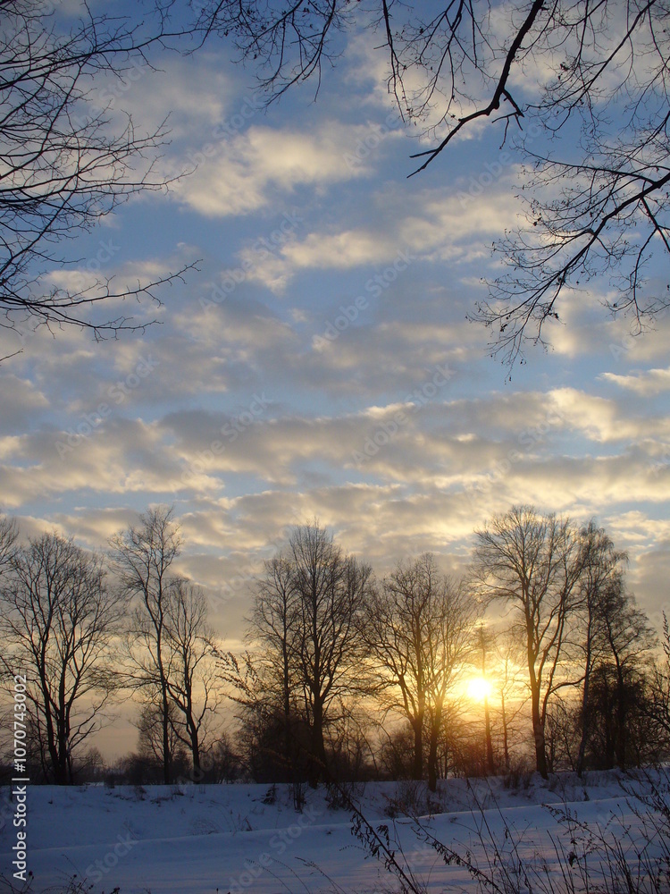 Poster dark trees and branches in forest and setting sun low above horizon with snow - natural view with su