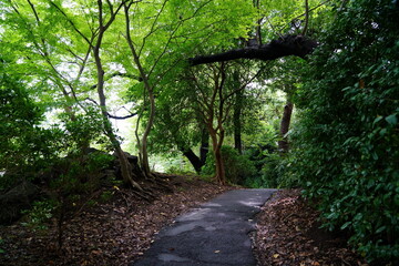 Obraz premium Kokyo Gaien National Garden (Tokyo, Japan)