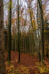 HDR Aufnahmen 5fach mit fast 20 Blendenstufen