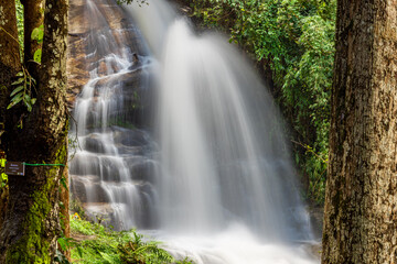 Fototapeta premium The natural background of a waterfall flowing from a height through rocks and various trees. The richness of the ecosystem and pure oxygen for breathing.