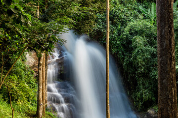 The natural background of a waterfall flowing from a height through rocks and various trees. The...