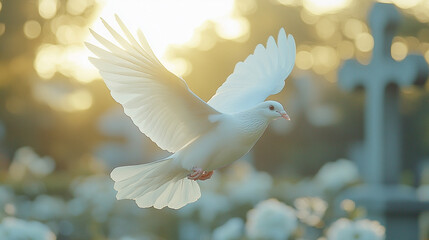 A pure white dove in flight against a blurred background featuring a Christian cross. The image symbolizes peace, hope, spirituality, and divine grace, often associated with faith and renewal