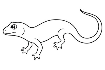 Gecko line art vector illustration