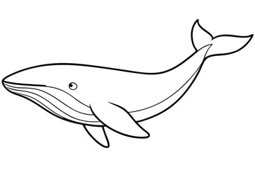 Whale line art vector illustration