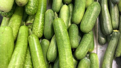 Explore Fresh Cucumbers and a Wide Variety of Colorful Squash at Your Local Market Today