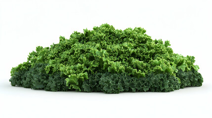 Fototapeta premium A large pile of fresh kale, with the lighter green leaves on top and the darker green leaves on the bottom, isolated on a white background.