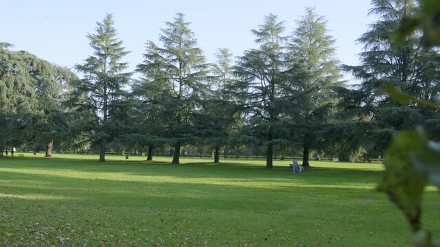 Parco Borromeo in Lombardy, Italy - 4K - Park, Garden, Nature, Outdoors, People Walking, Leisure, Recreation, Sunny Day, Summer, Travel, Tourism