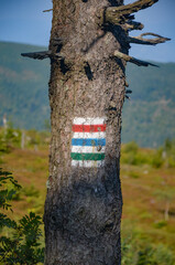 marking on the tree trunk of the trails red, blue green to Barania Góra	