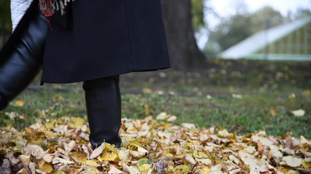 Close-up low angle view of woman in black coat and high boots walking in autumn public park on ground and kicking fallen yellow linden or aspen tree leaves. Soft focus. Real time video. Weather theme.
