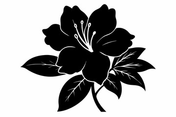 Azalea flower silhouette, Azalea vectot, Azalea silhouette black clipart	