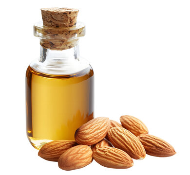 recommend clip art: Nut oil png almond oil png almonds oil png almond oil bottle png almonds oil bottle png nuts oil png almond oil bottle transparent background image