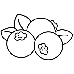 Blueberry Fruit Outline