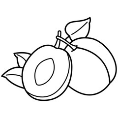 Plum Fruit Outline