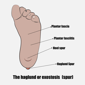 Standing executive man silhouette, vector files.