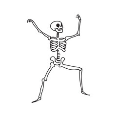 illustration of a skeleton