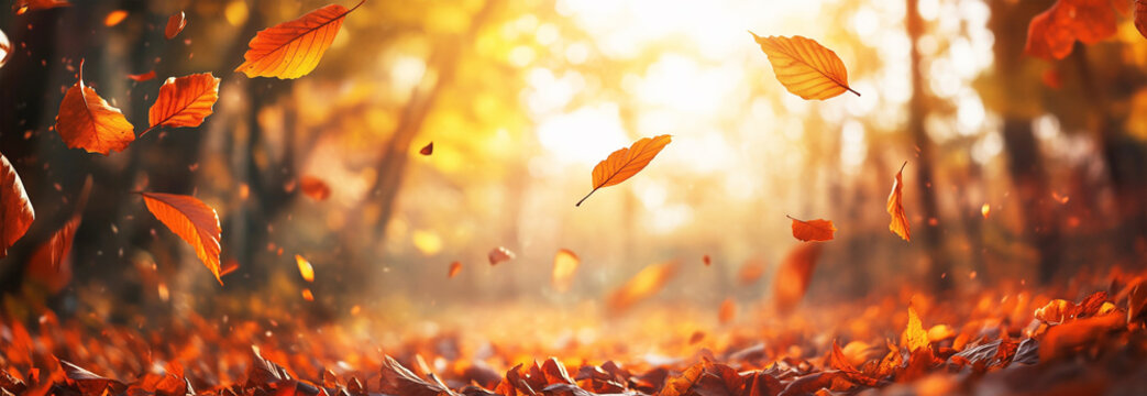 Fallende bunte Bl&auml;tter mit Sonne im Wald - Hintergrund Konzept Goldener Herbst