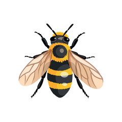 Realistic Worker Bee to the Hive, or Apiary. Isolated Top View Icon on White Background