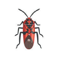Realistic mosquito on white background. Top view. Vector.