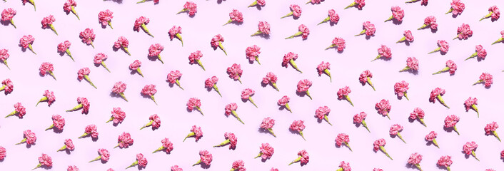 Many beautiful carnation flowers on lilac background. Pattern for design