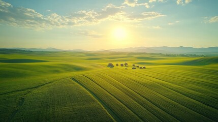 Expansive Green Fields with Rolling Hills and Farm Machinery Under a Golden Sunrise in Rural Landscape