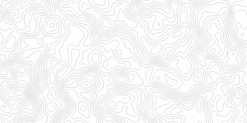 Vector minimal Lines Topographic contour lines map seamless pattern. abstract wave curve topo grid map with Geographic mountain relief. Abstract lines background. Contour maps. Topo contour map.