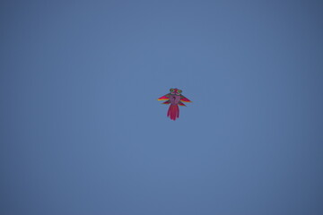 Kite. A kite is an object that uses the force of wind to fly
