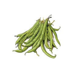 green beans isolated on white