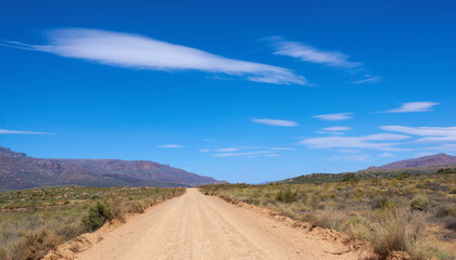 Fototapeta premium Path, conservation and nature with mountain by blue sky, plants and climate change for ecology. Landscape, sustainable growth and journey with trails for hiking, trekking and adventure in Switzerland