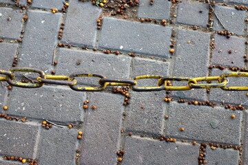 Strong iron steel chain close up.