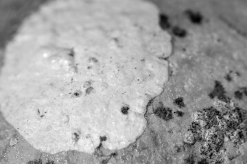 Natural stone texture, background wallpaper. Macro photo detail.