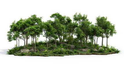 Fototapeta premium green trees isolated on white background