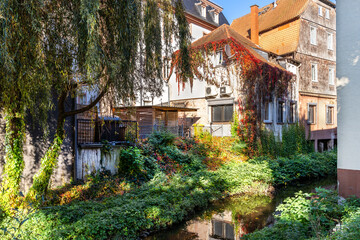 Wild and colourful nature in the city centre of Bensheim, Bergstrasse, Germany