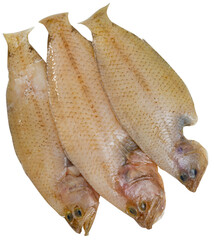 Raw spotted flounder fish served on plate with parsley and lemon. Isolated over white background