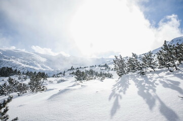 winter landscape with snow and trees in mountains