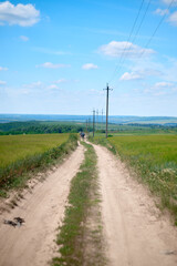 Fototapeta premium field and blue sky
