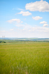 field and blue sky