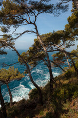 Obraz premium Porto fino