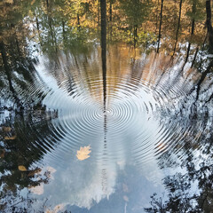 Captivating ripples on tranquil pond reflect autumn foliage and clear sky. serene scene evokes sense of peace and connection with nature