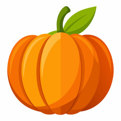 pumpkin isolated on white background