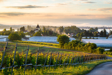 Naklejka premium Lac de constance