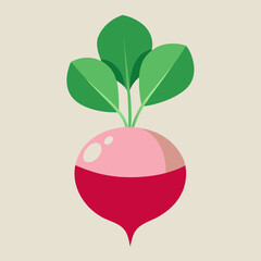 illustration of radish