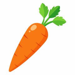 carrot isolated on white