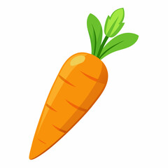 carrot isolated on white