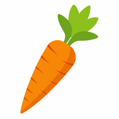 carrot isolated on white