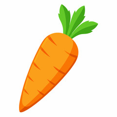 carrot isolated on white