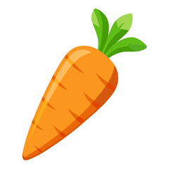 carrot isolated on white background