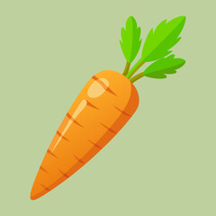 illustration of a carrot