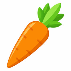 illustration of a carrot
